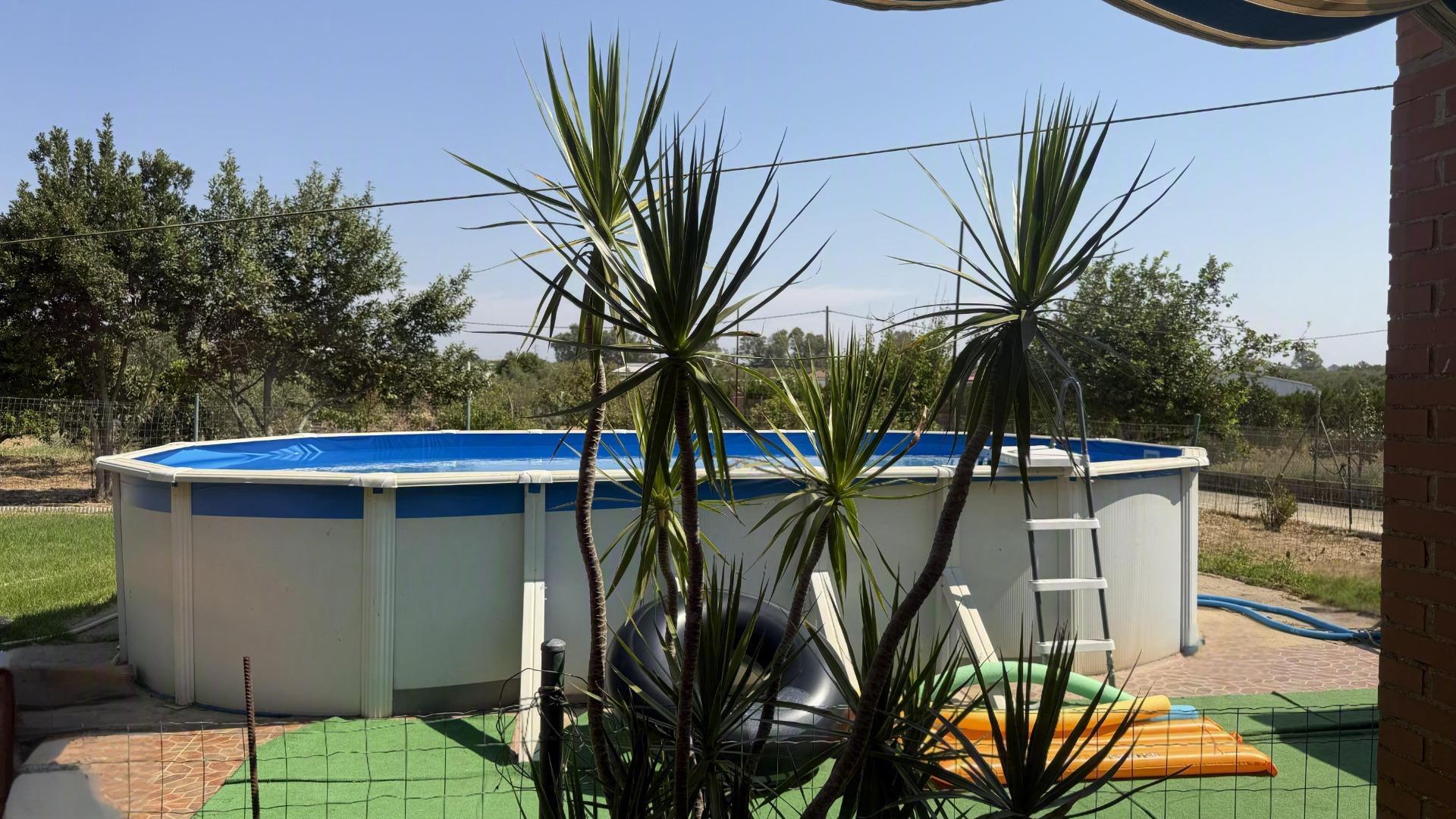 Pisos-Venta-GibraleÃ³n-2411232-Foto-22