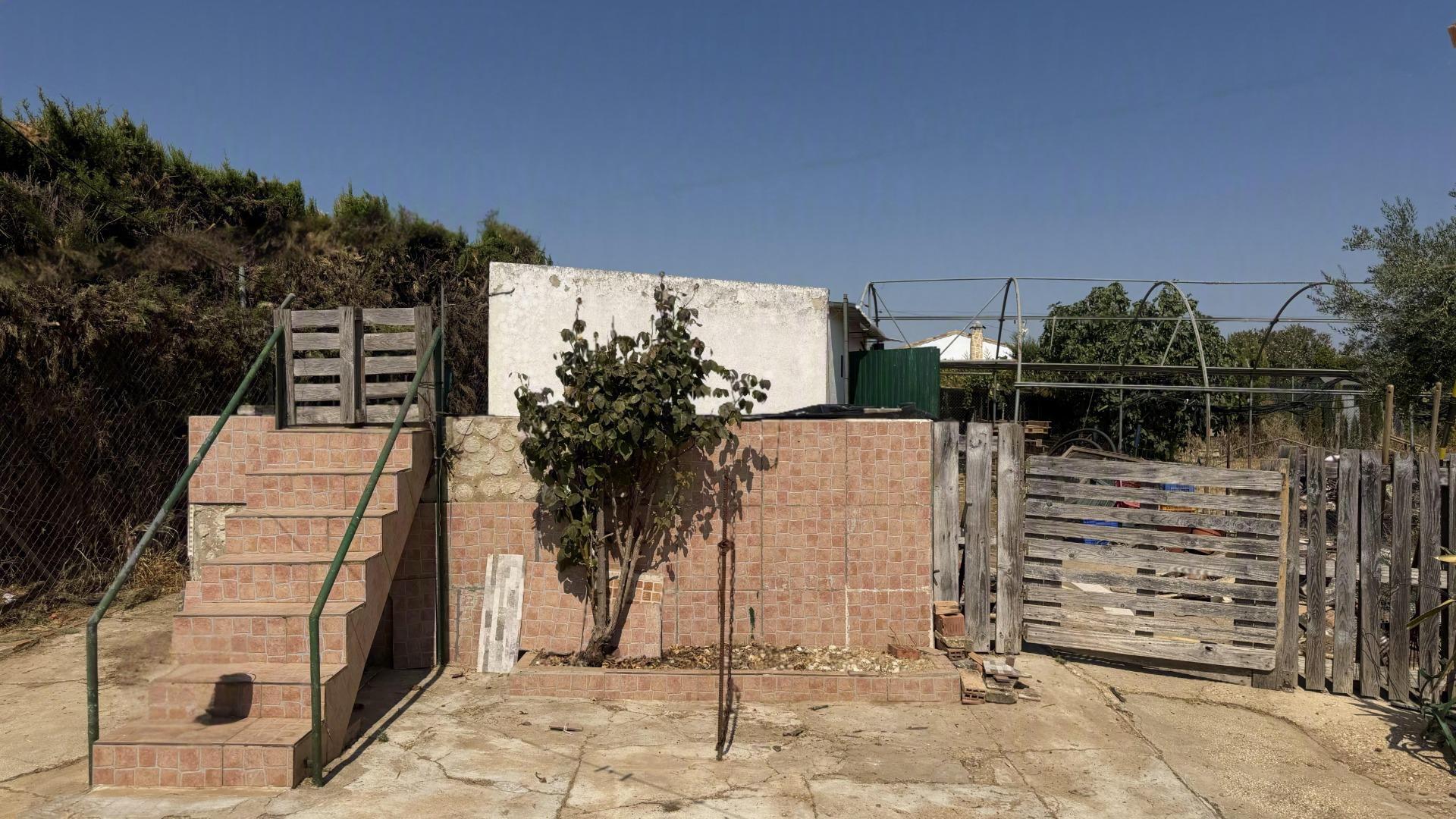 Pisos-Venta-GibraleÃ³n-2411232-Foto-24