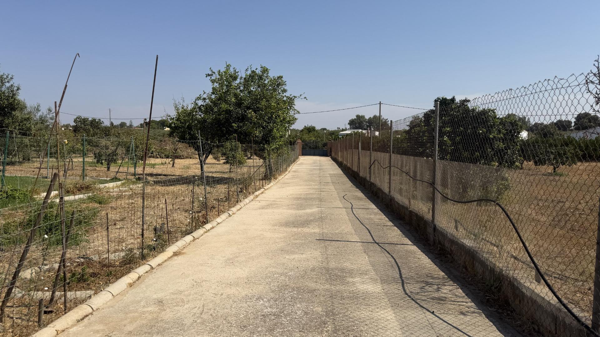 Pisos-Venta-GibraleÃ³n-2411232-Foto-26