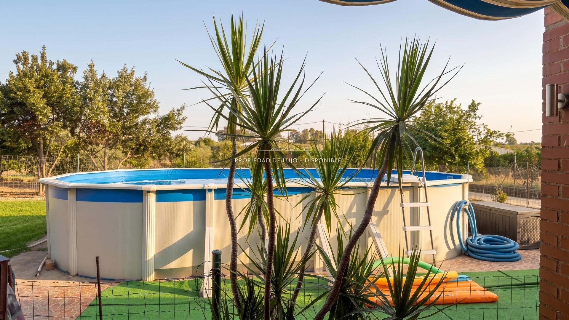 Pisos-Venta-GibraleÃ³n-2411232-Foto-27