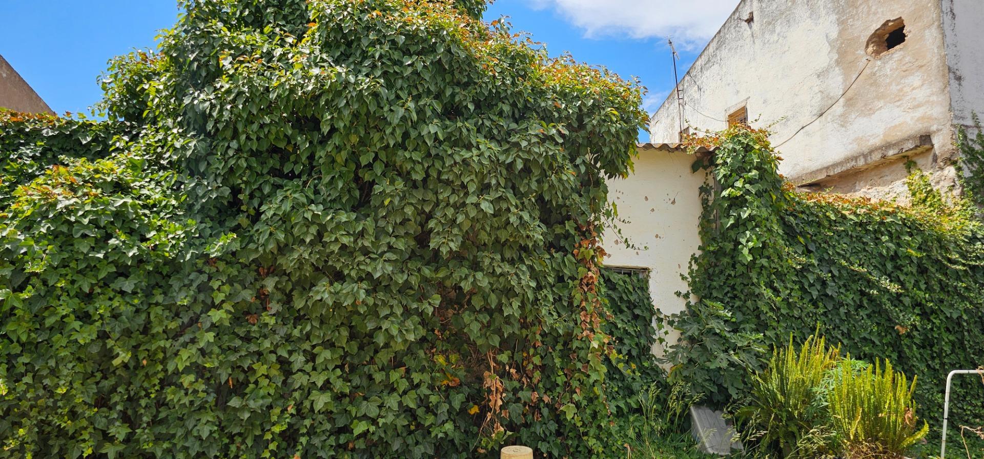 Casas o chalets-Venta-La Algaba-1975514-Foto-19