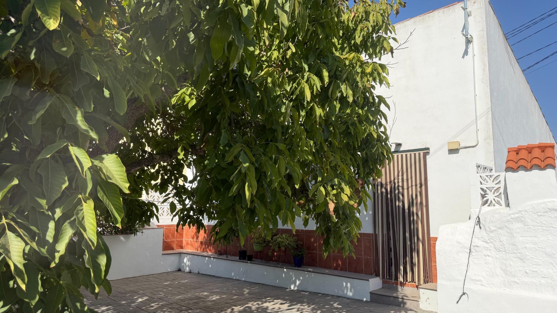 Fincas y solares-Venta-Alosno-2411262-Foto-30