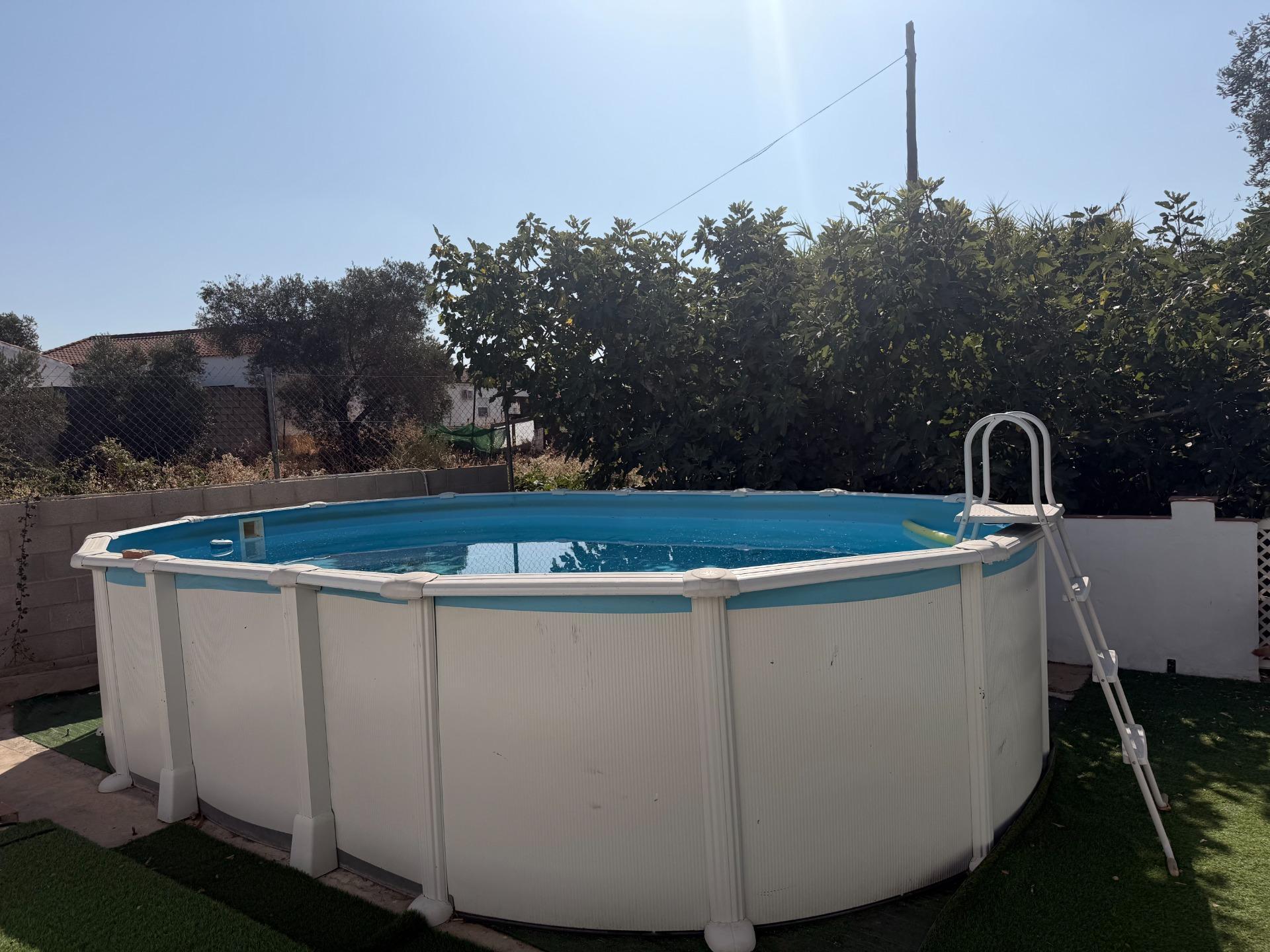 Fincas y solares-Venta-Alosno-2411262-Foto-43