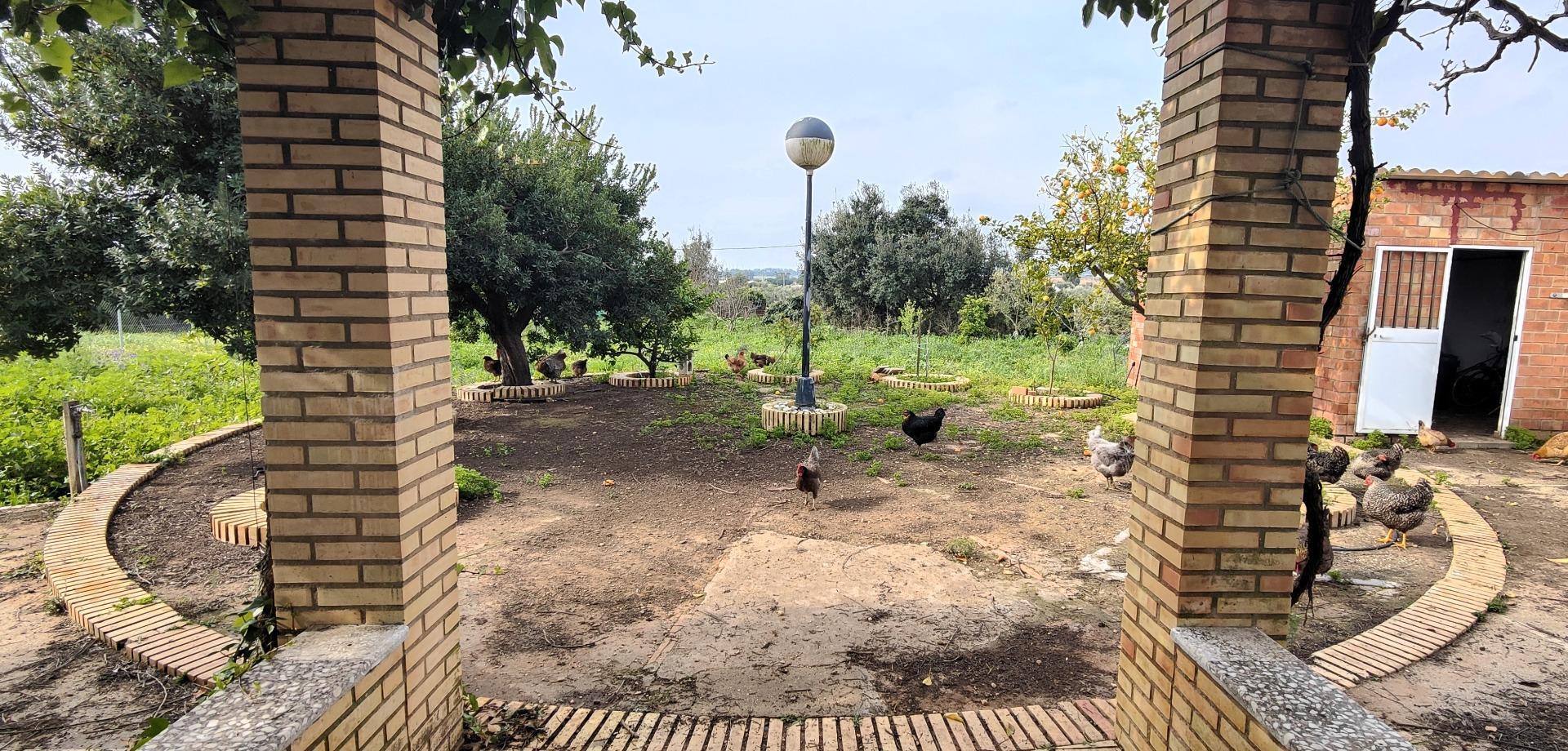 Pisos-Venta-GibraleÃ³n-1651626-Foto-8
