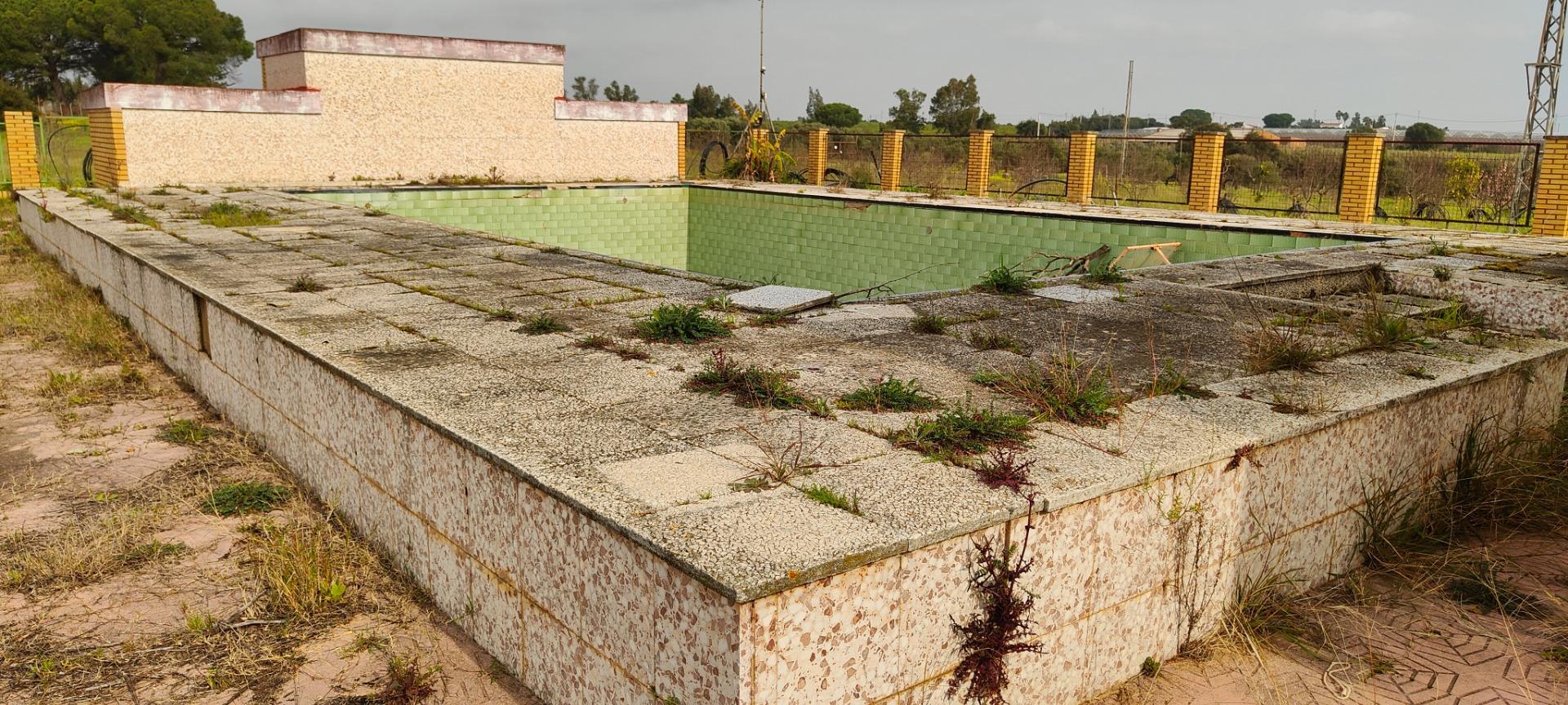 Pisos-Venta-GibraleÃ³n-1651626-Foto-50