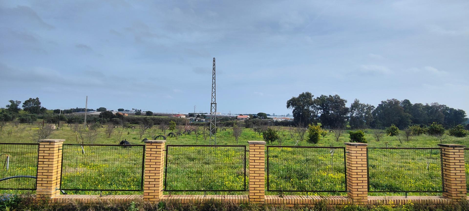 Pisos-Venta-GibraleÃ³n-1651626-Foto-54