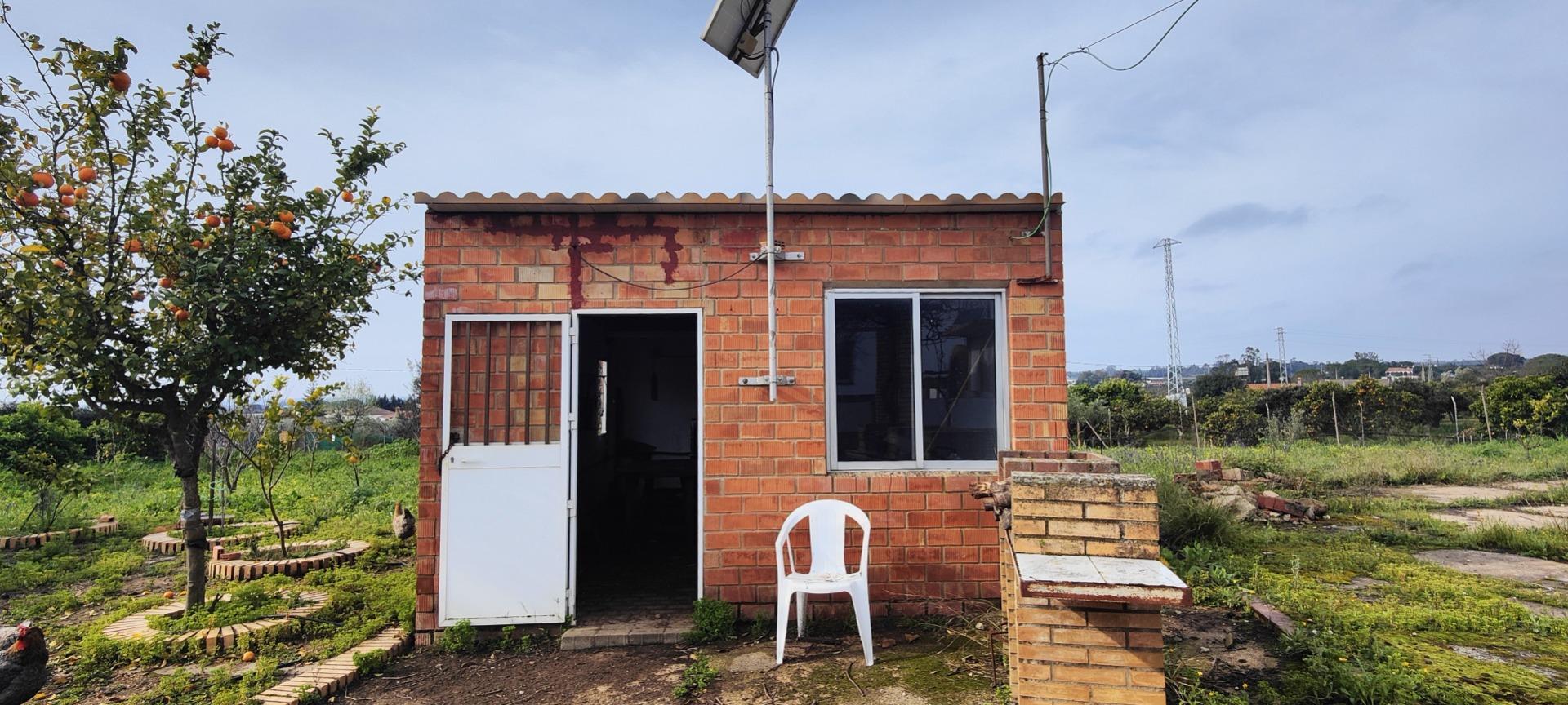 Pisos-Venta-GibraleÃ³n-1651626-Foto-56