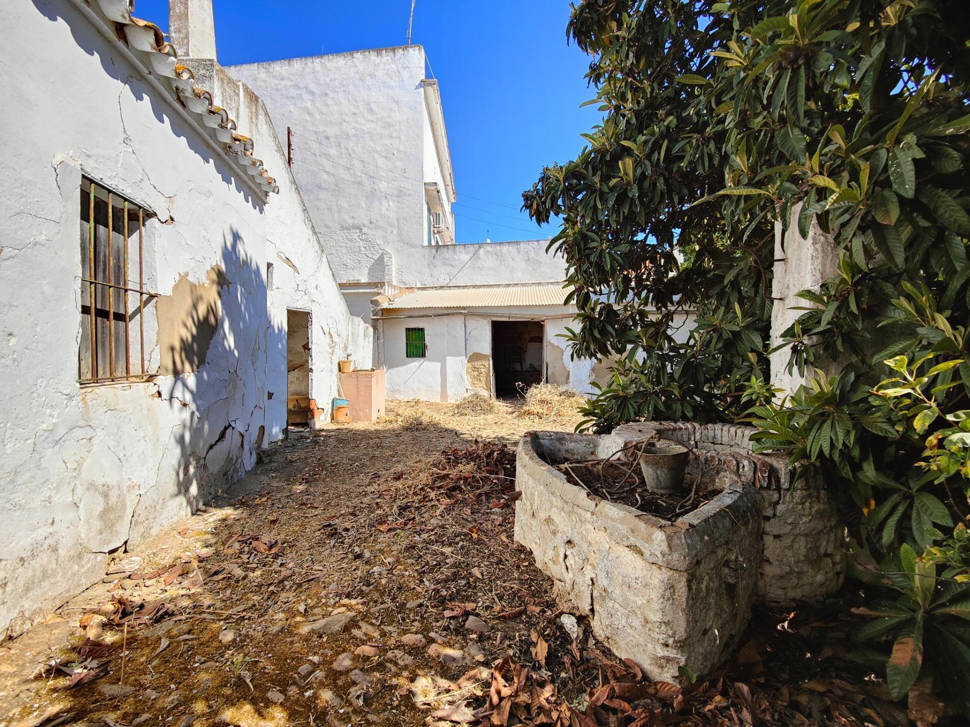 Casas o chalets-Venta-Trigueros-1480285-Foto-21
