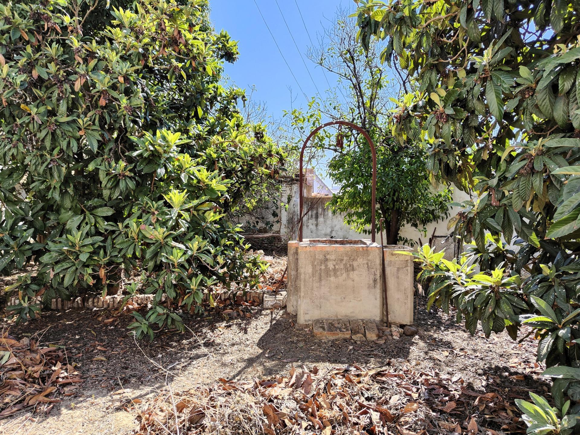 Casas o chalets-Venta-Trigueros-1480285-Foto-19