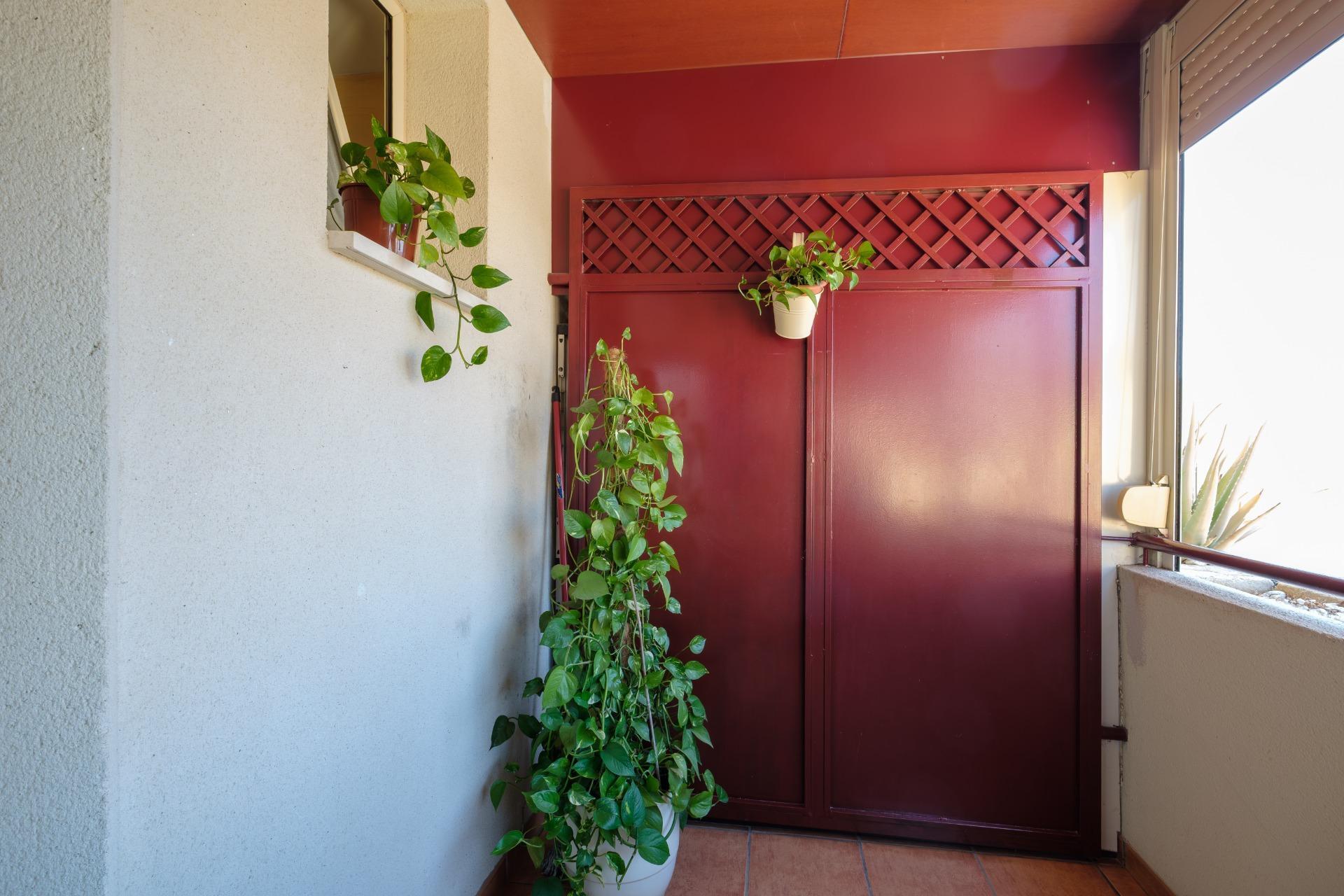 Pisos-Venta-AlcalÃ¡ de GuadaÃ­ra-2411274-Foto-32