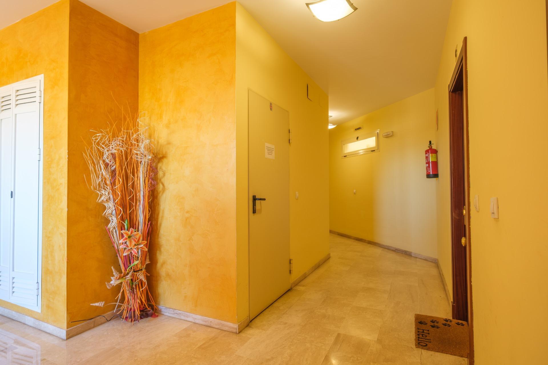 Pisos-Venta-AlcalÃ¡ de GuadaÃ­ra-2411274-Foto-59