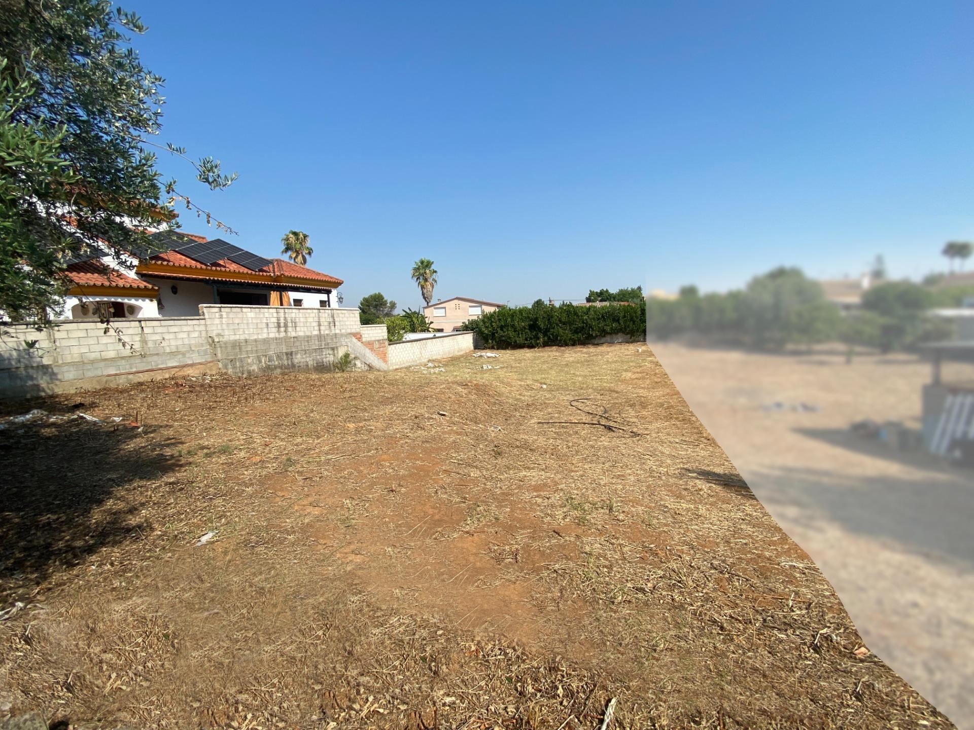 Fincas y solares-Venta-Palomares del RÃ­o-1430351-Foto-4