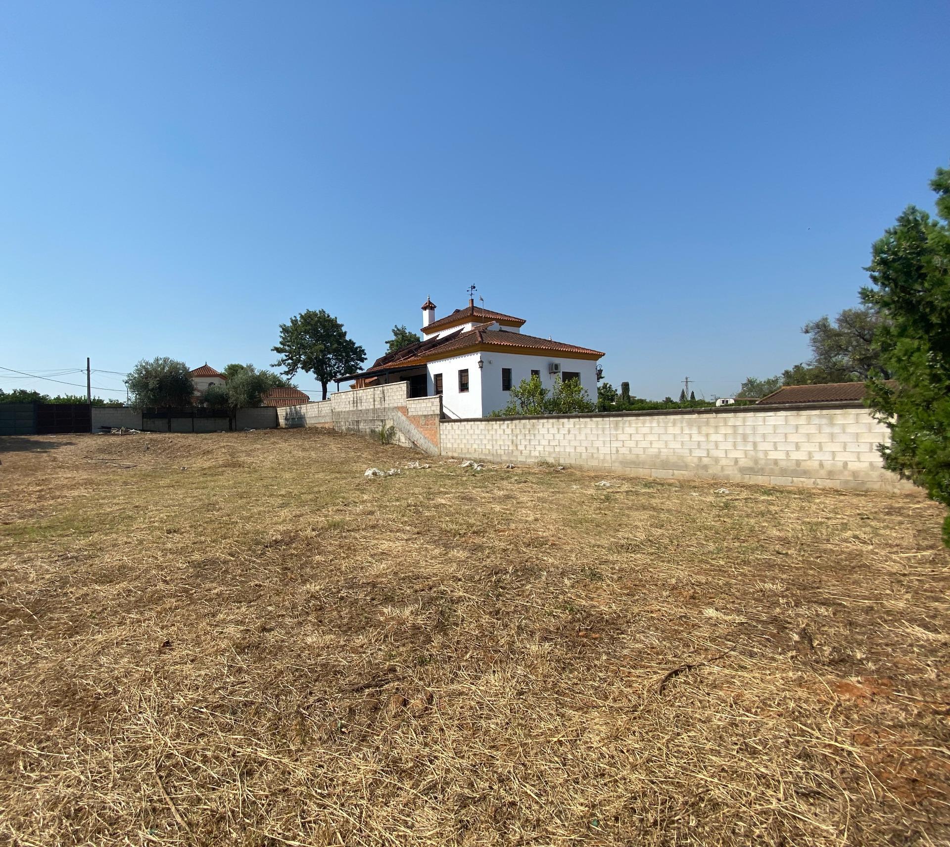 Fincas y solares-Venta-Palomares del RÃ­o-1430351-Foto-3
