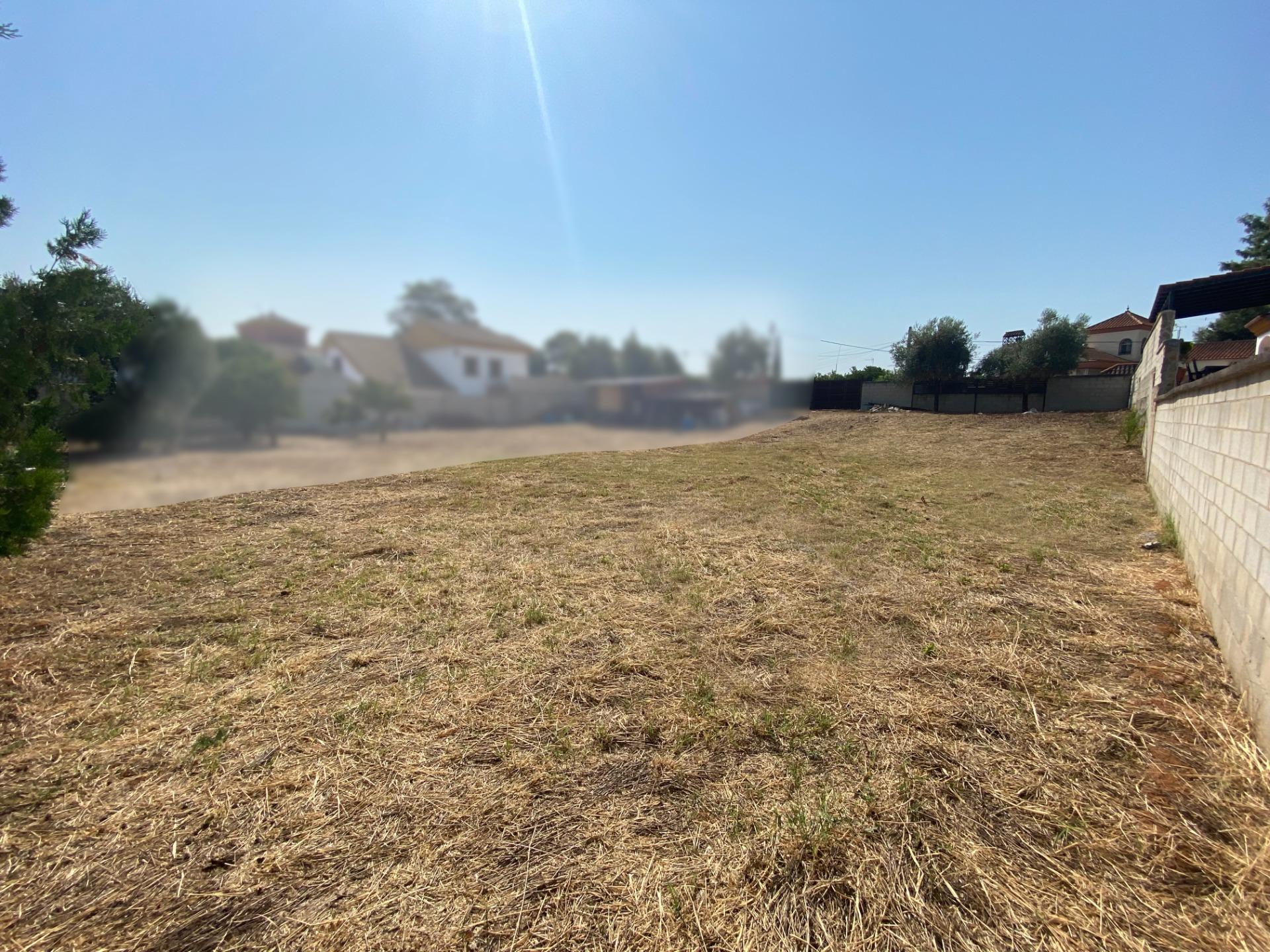 Fincas y solares-Venta-Palomares del RÃ­o-1430351-Foto-5