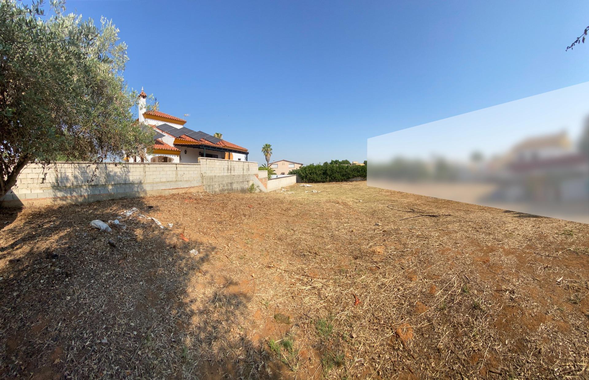 Fincas y solares-Venta-Palomares del RÃ­o-1430351-Foto-6