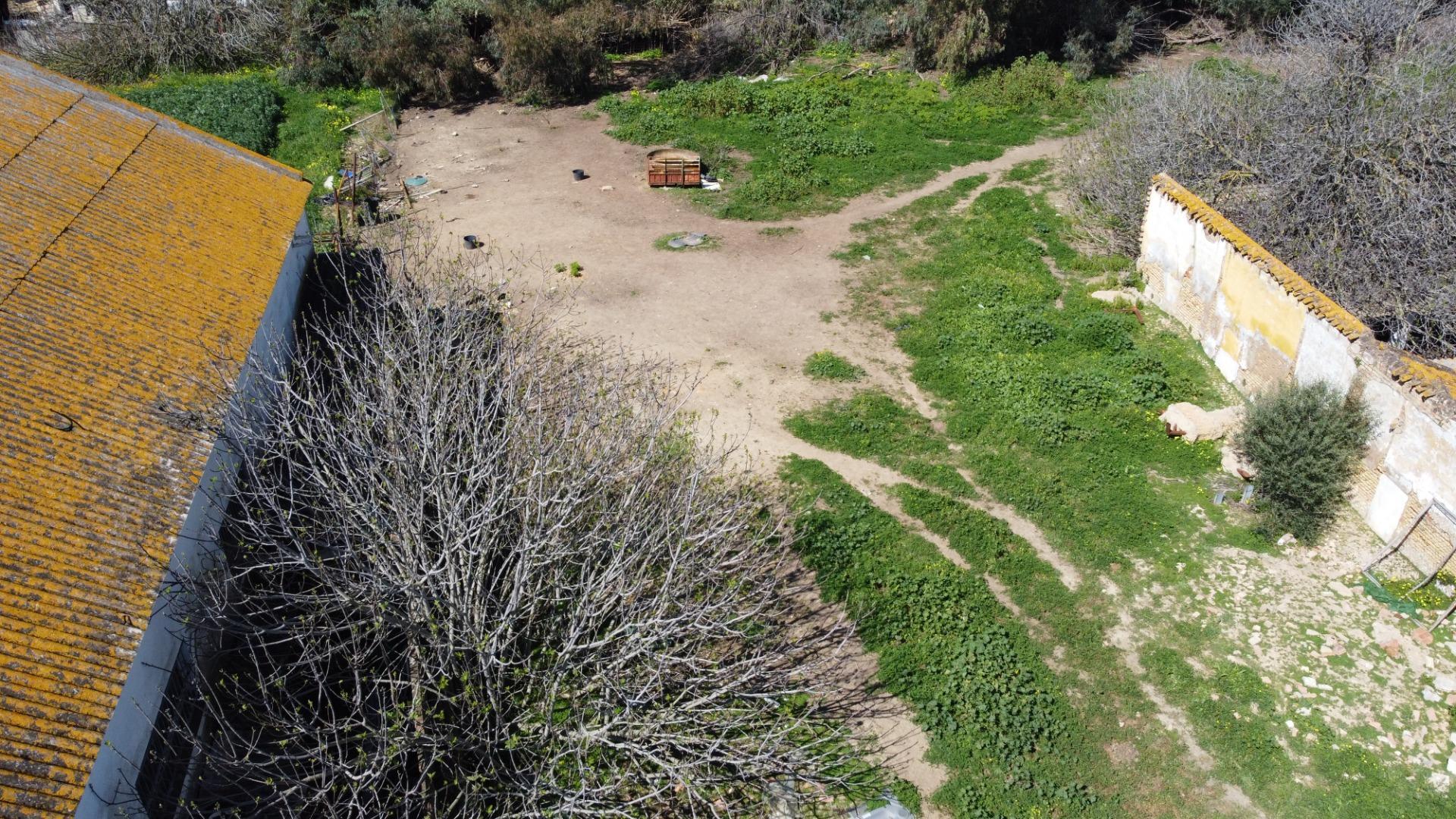 Fincas y solares-Venta-Huelva-2177190-Foto-17