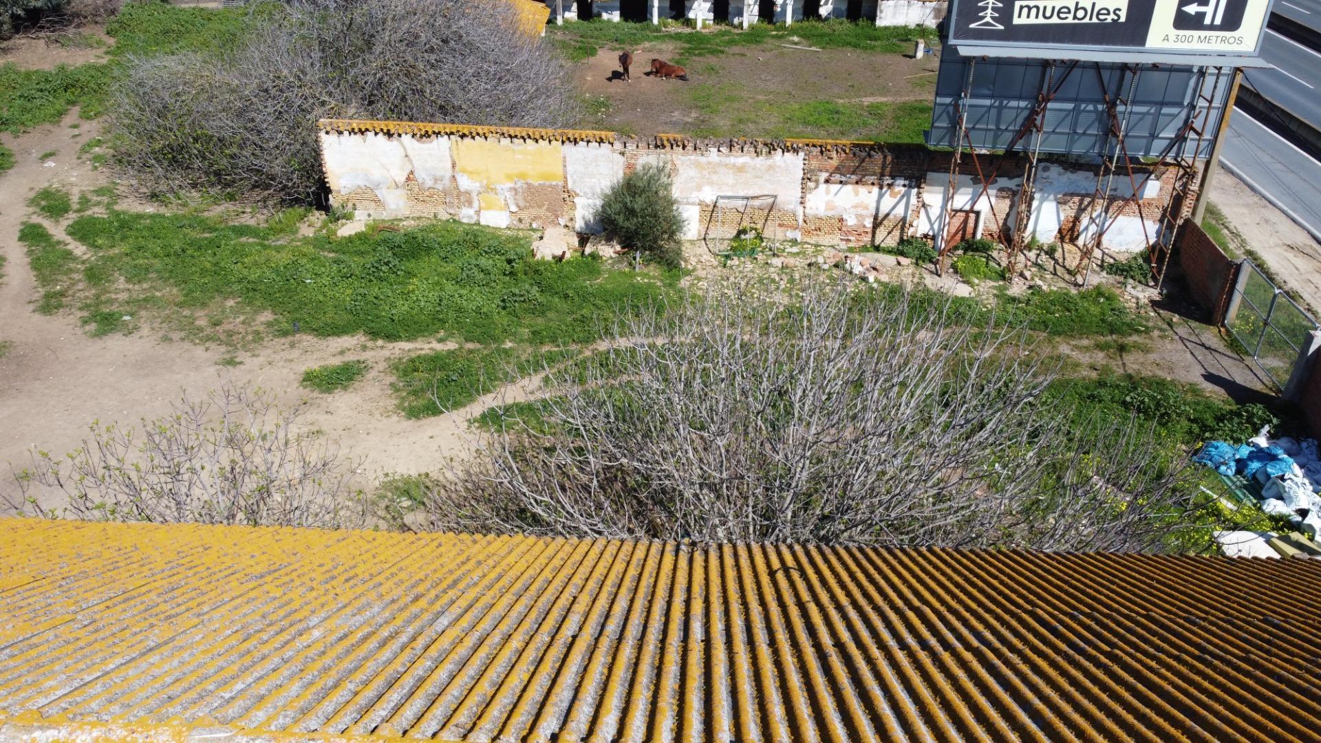 Fincas y solares-Venta-Huelva-2177190-Foto-18