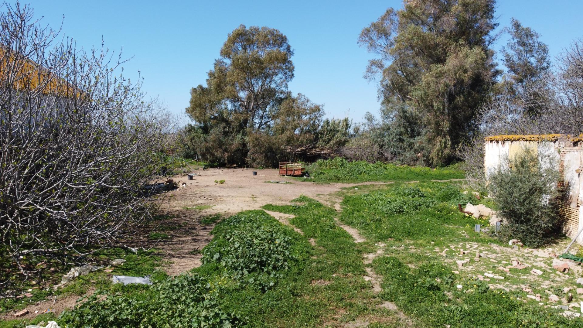 Fincas y solares-Venta-Huelva-2177190-Foto-14