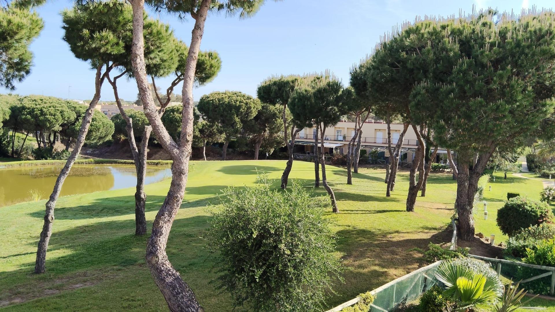 Casas o chalets-Venta-Isla Cristina-2411304-Foto-14