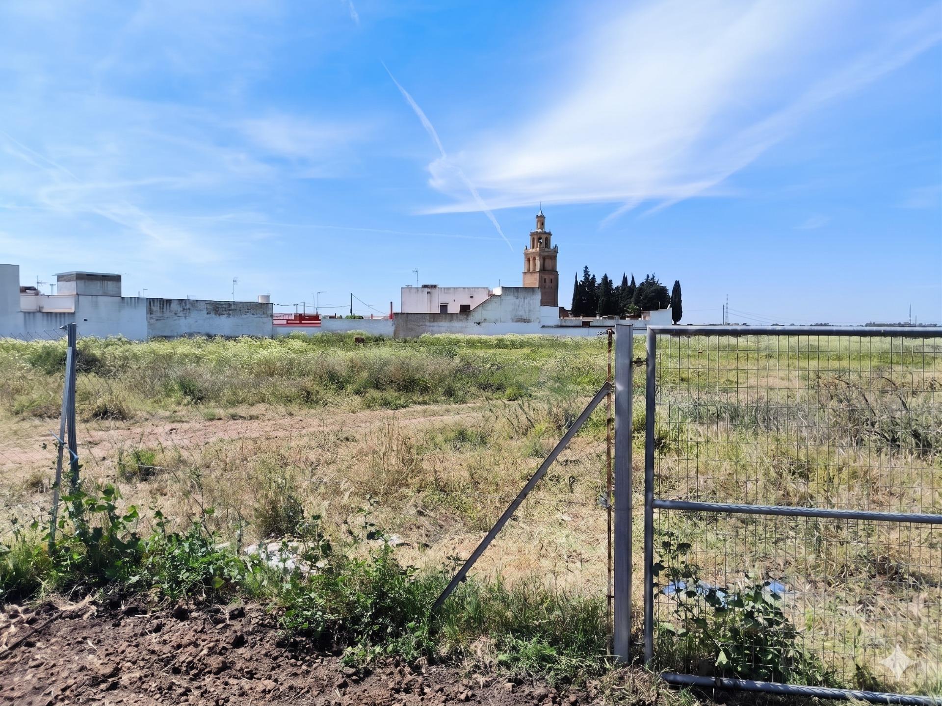 Fincas y solares-Venta-Villanueva del Río y Minas-2256069