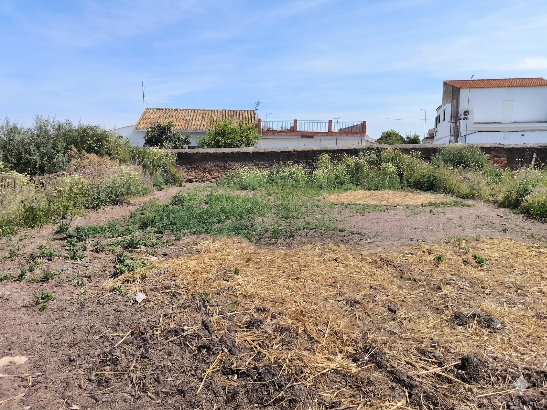 Fincas y solares-Venta-Villanueva del RÃ­o y Minas-2256069-Foto-2