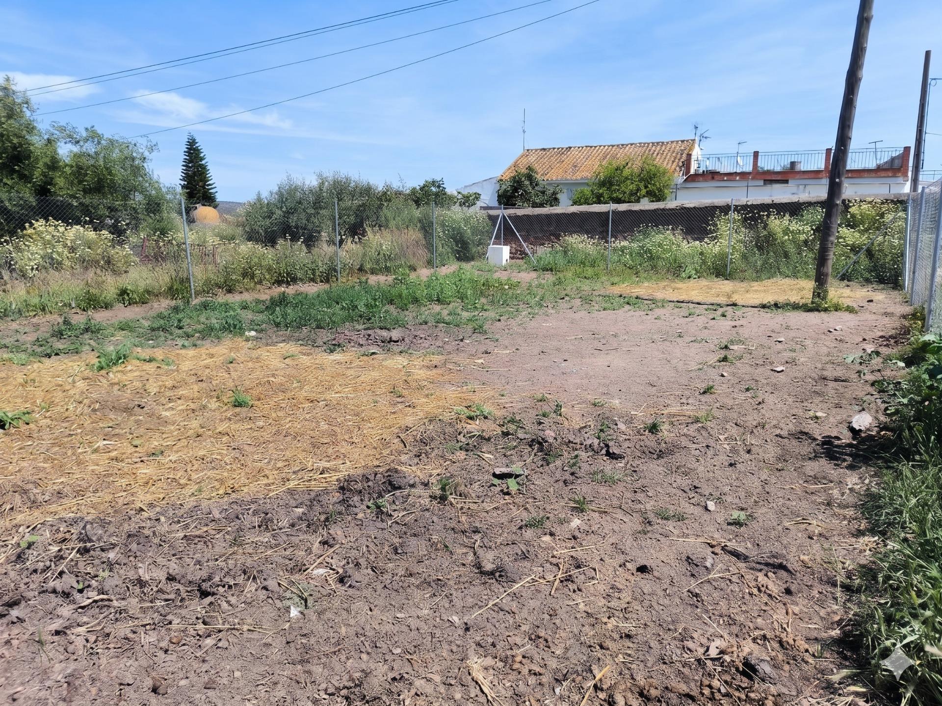 Fincas y solares-Venta-Villanueva del RÃ­o y Minas-2256069-Foto-4