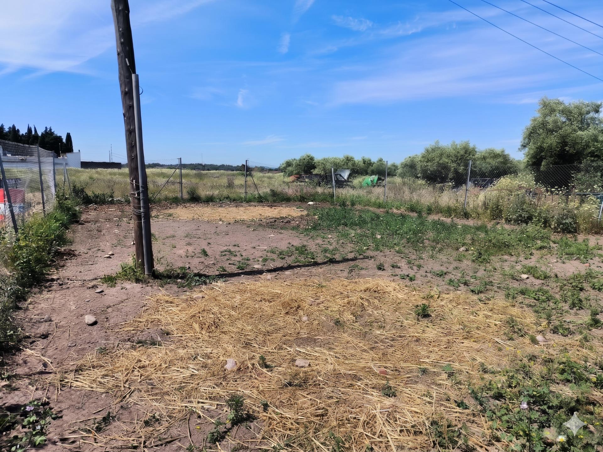 Fincas y solares-Venta-Villanueva del RÃ­o y Minas-2256069-Foto-5