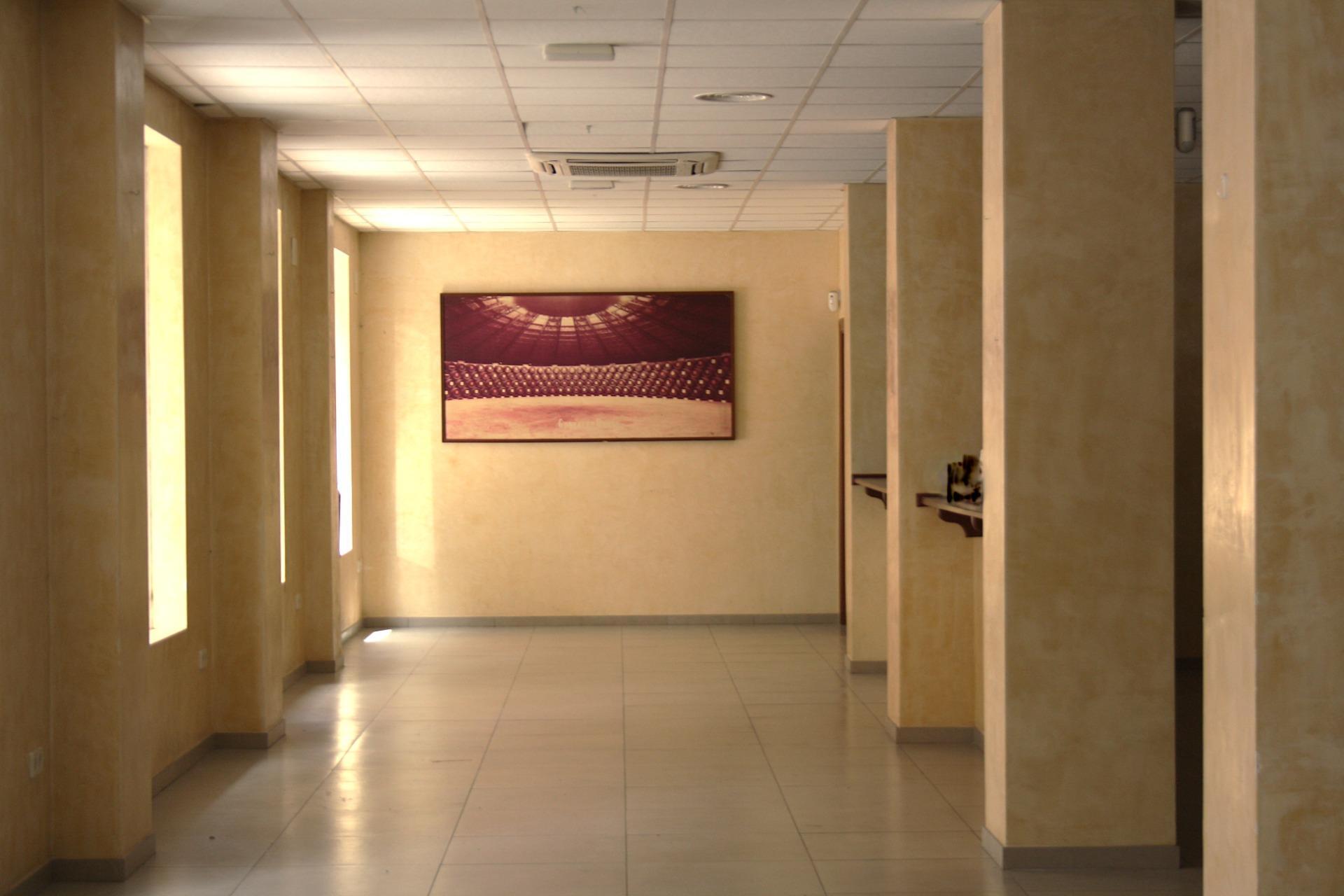 Negocios-Alquiler-Burguillos-2411328-Foto-2