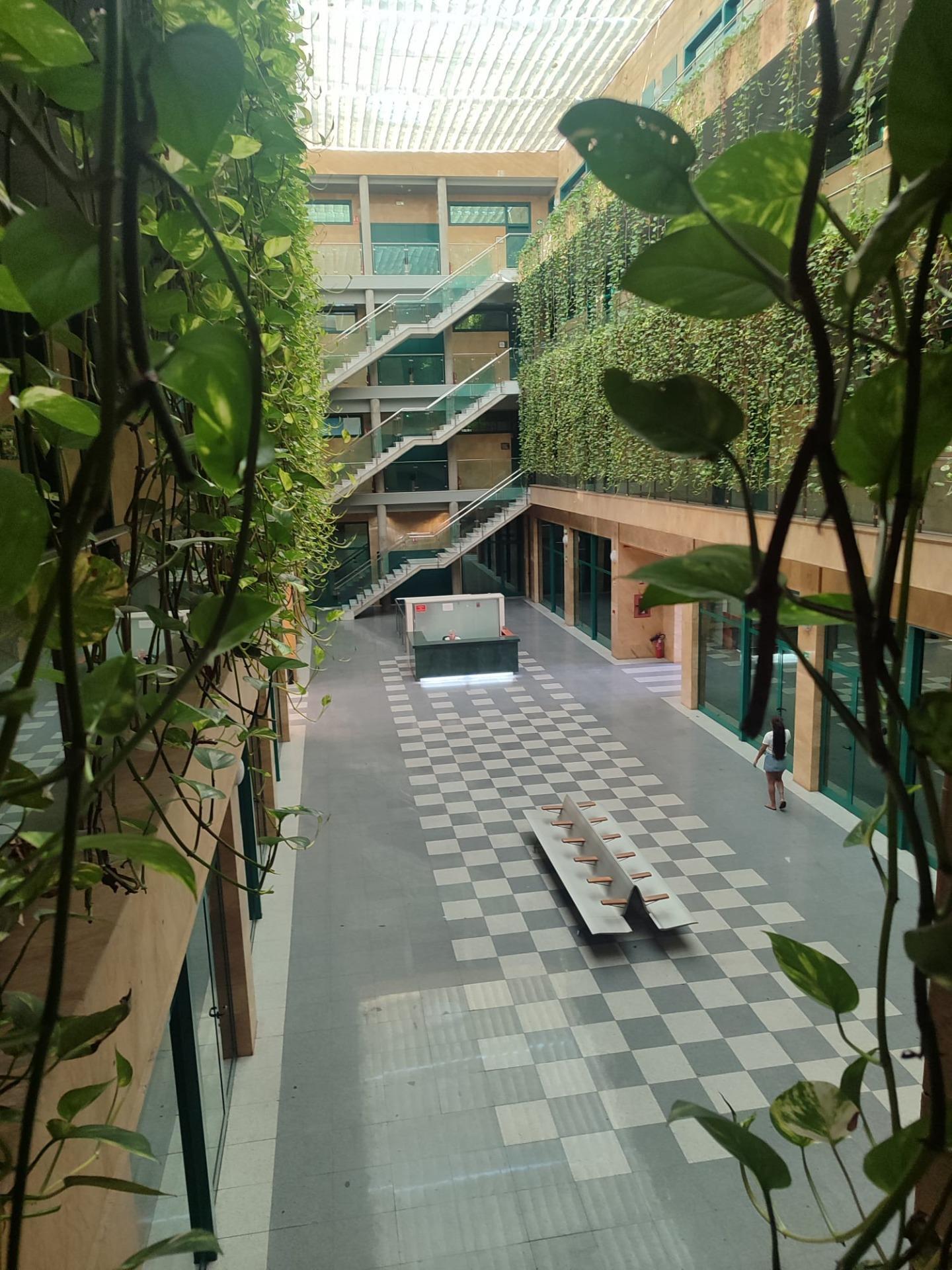 Oficinas-Alquiler-Burguillos-2411331-Foto-5