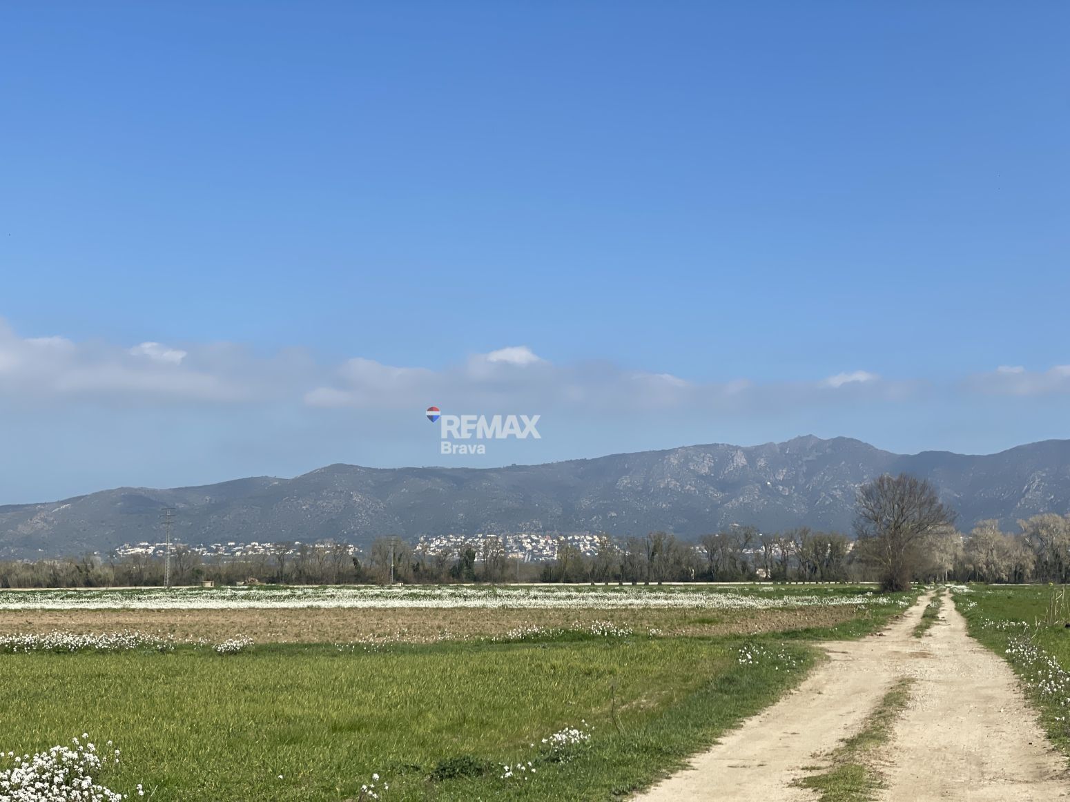 Fincas y solares-Venta-CastellÃ³ d