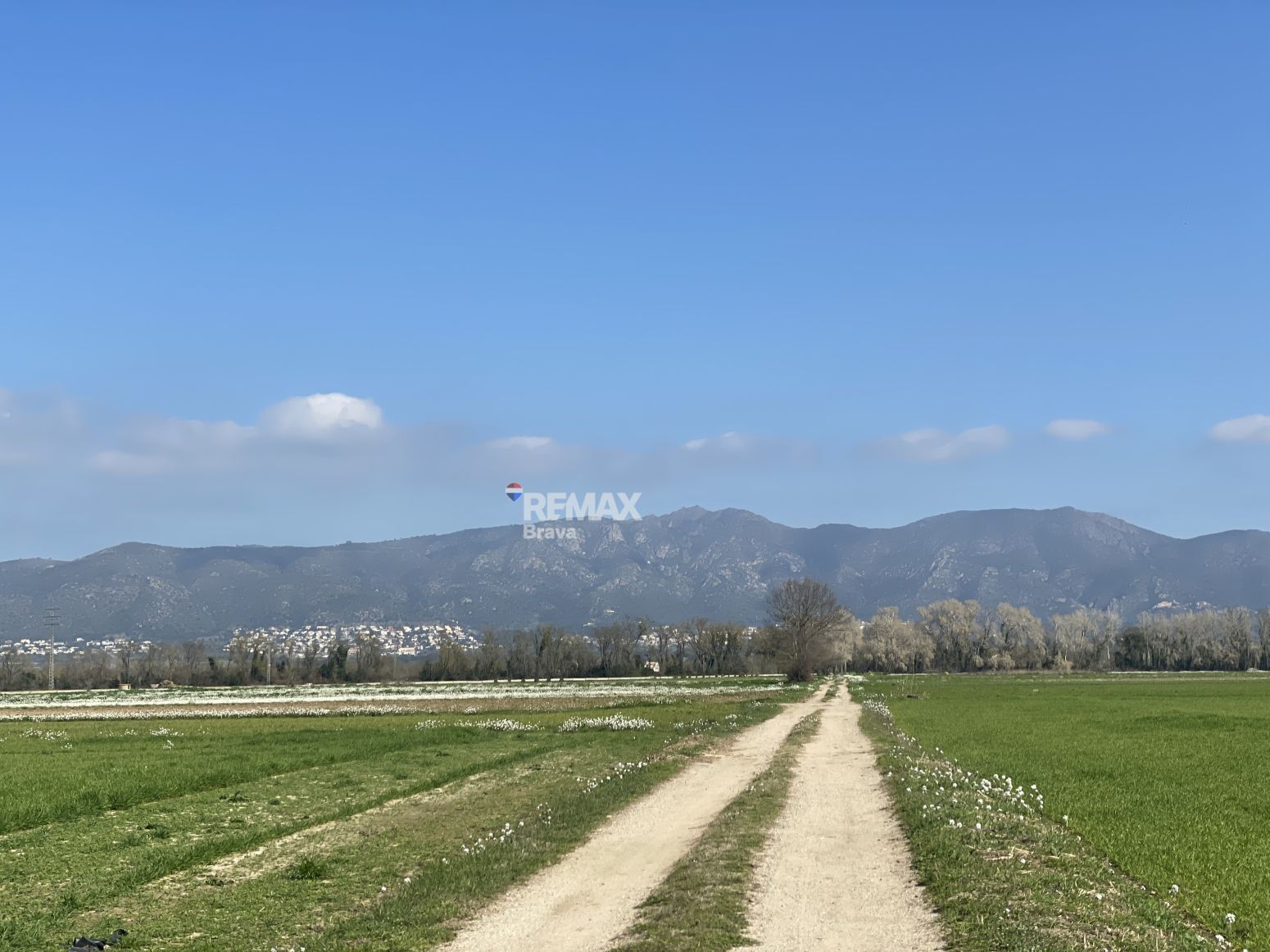 Fincas y solares-Venta-CastellÃ³ d