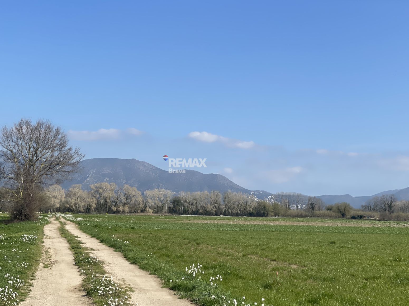 Fincas y solares-Venta-CastellÃ³ d