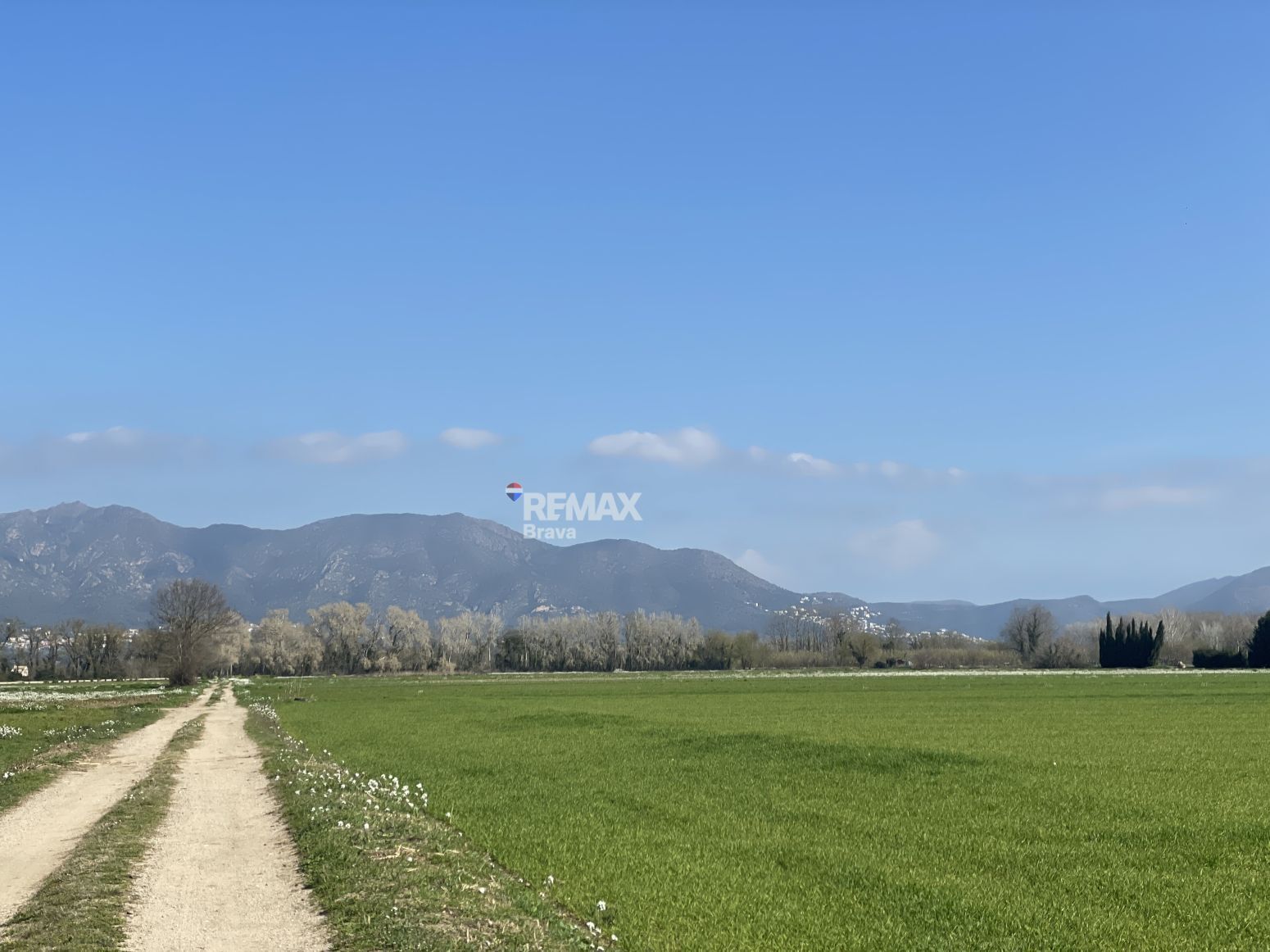 Fincas y solares-Venta-CastellÃ³ d