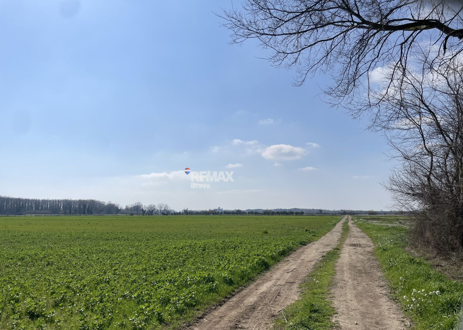 Fincas y solares-Venta-CastellÃ³ d