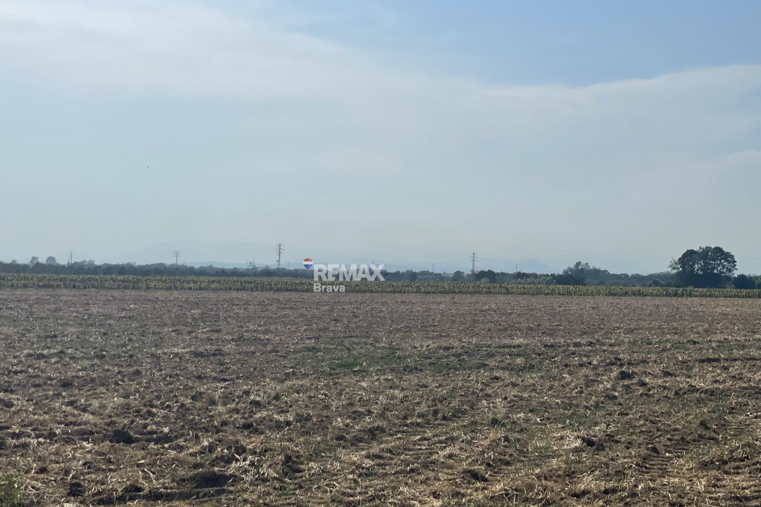 Fincas y solares-Venta-CastellÃ³ d