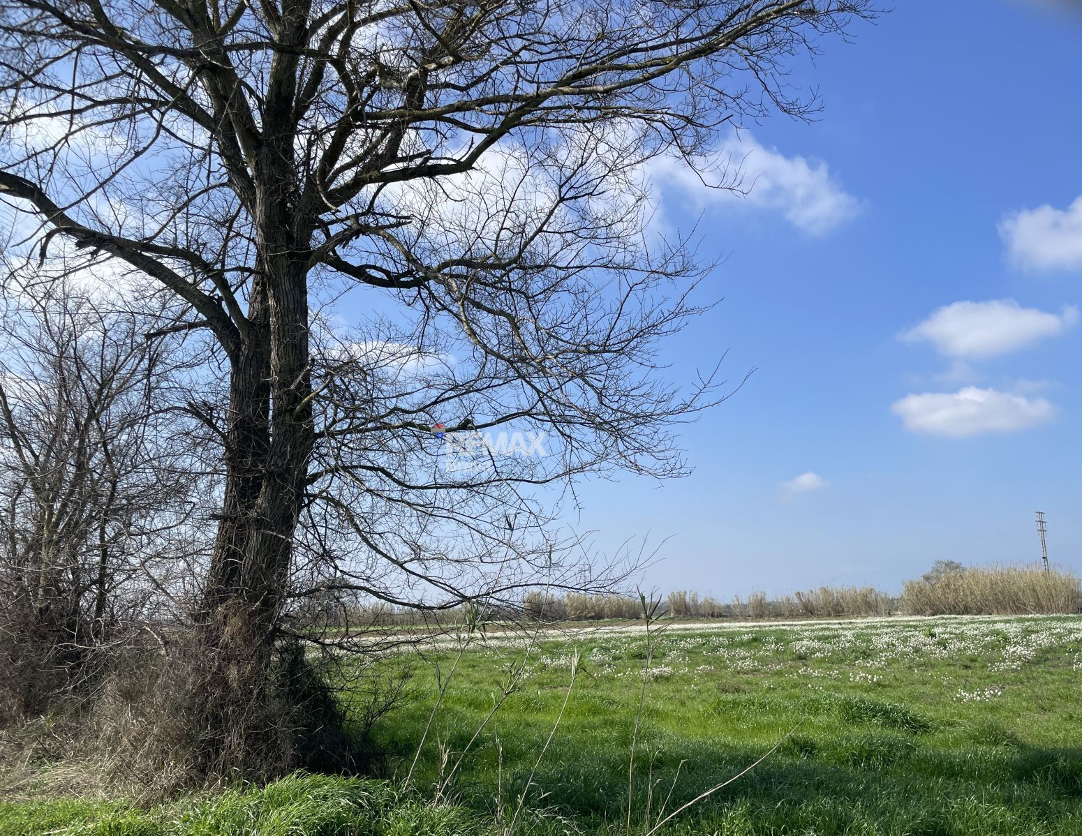 Fincas y solares-Venta-CastellÃ³ d