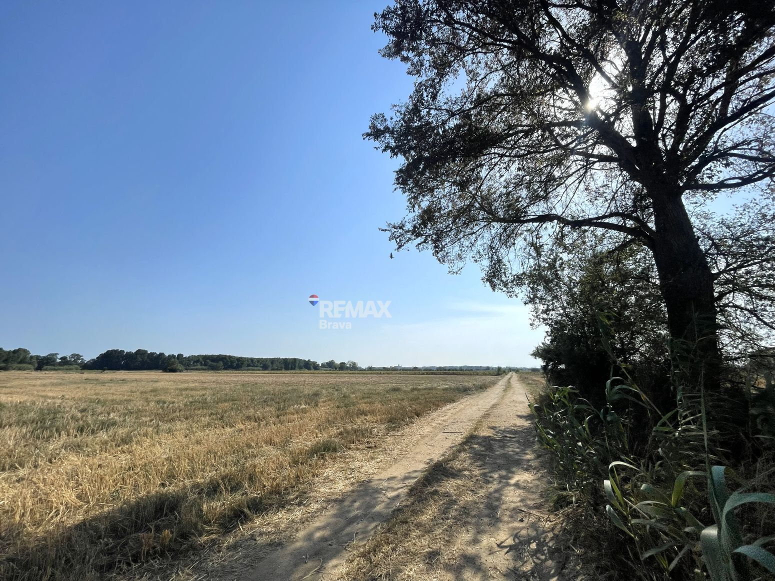 Fincas y solares-Venta-CastellÃ³ d