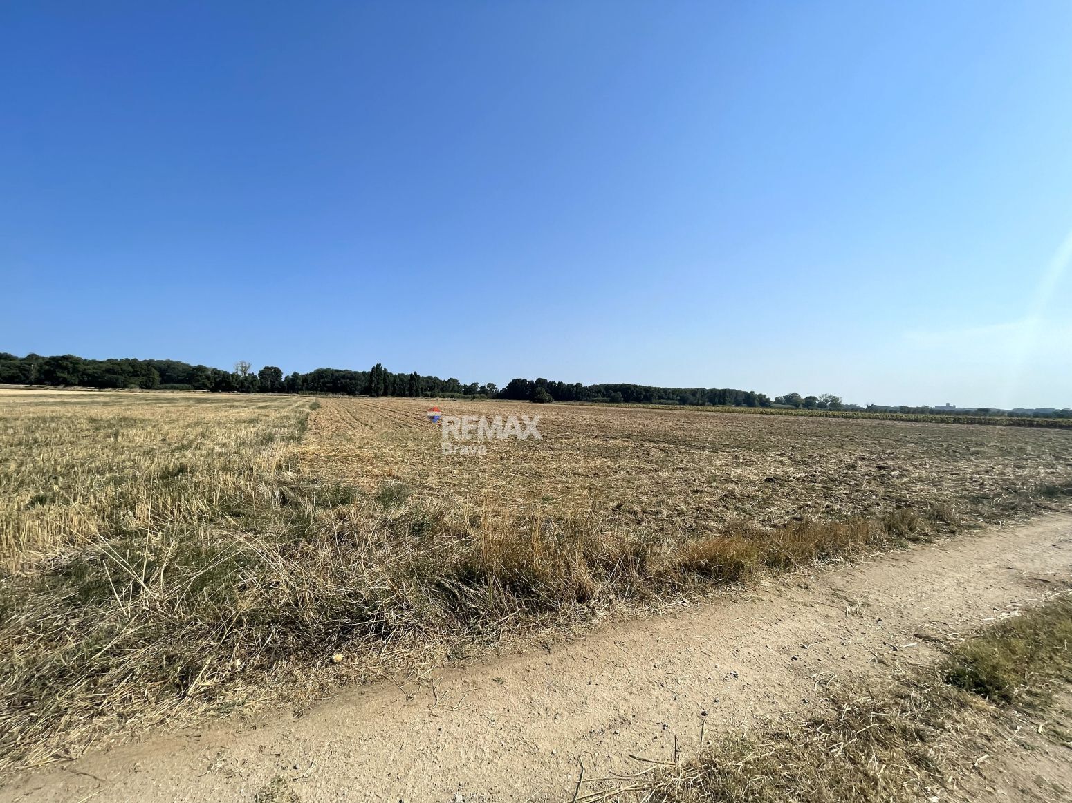 Fincas y solares-Venta-CastellÃ³ d