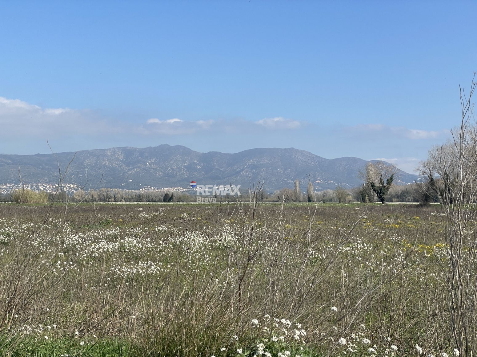 Fincas y solares-Venta-CastellÃ³ d