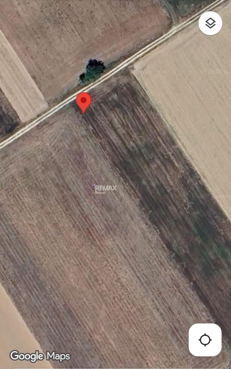 Fincas y solares-Venta-CastellÃ³ d