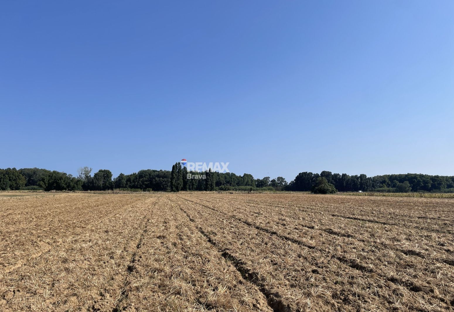 Fincas y solares-Venta-CastellÃ³ d