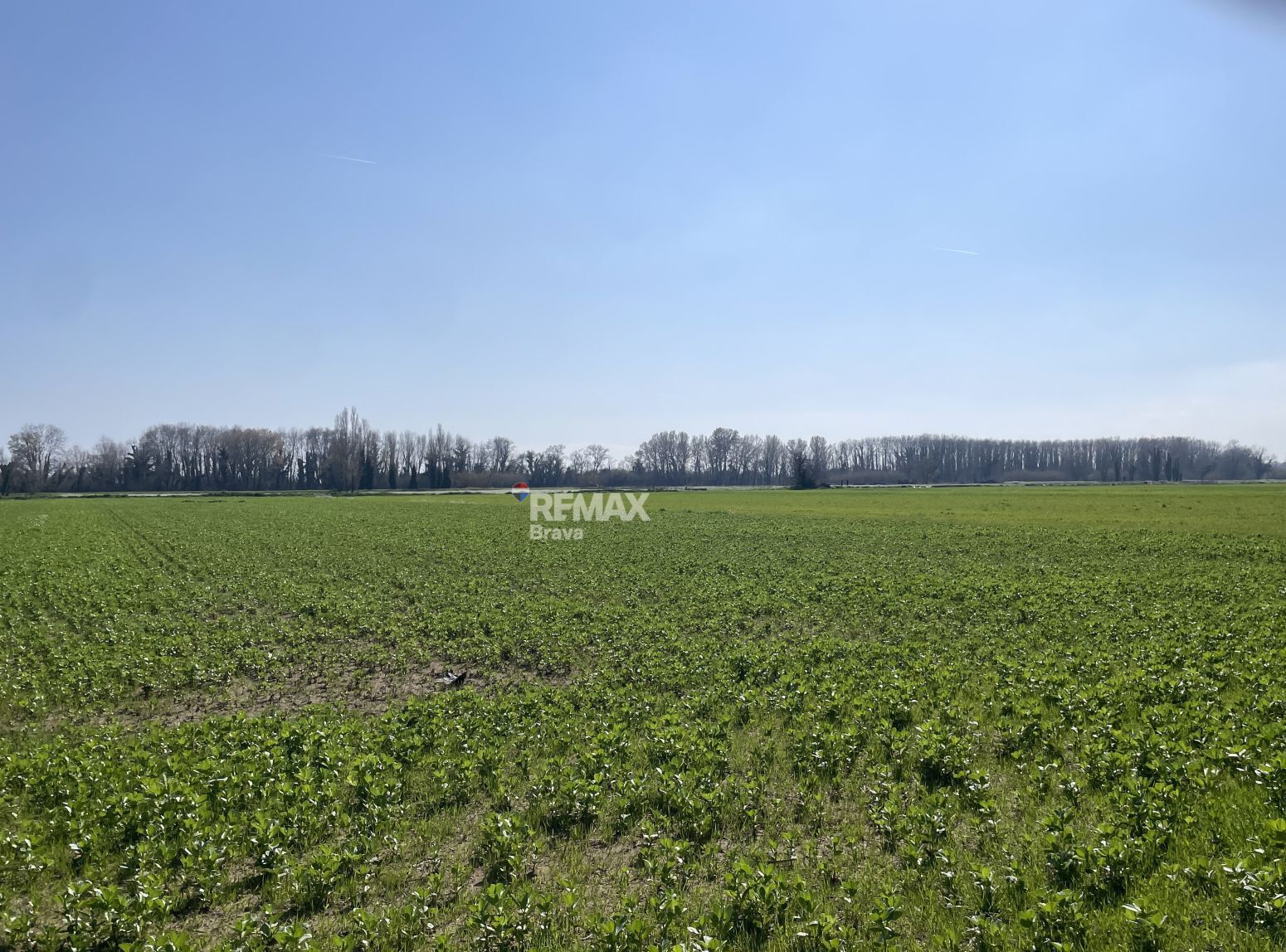 Fincas y solares-Venta-CastellÃ³ d
