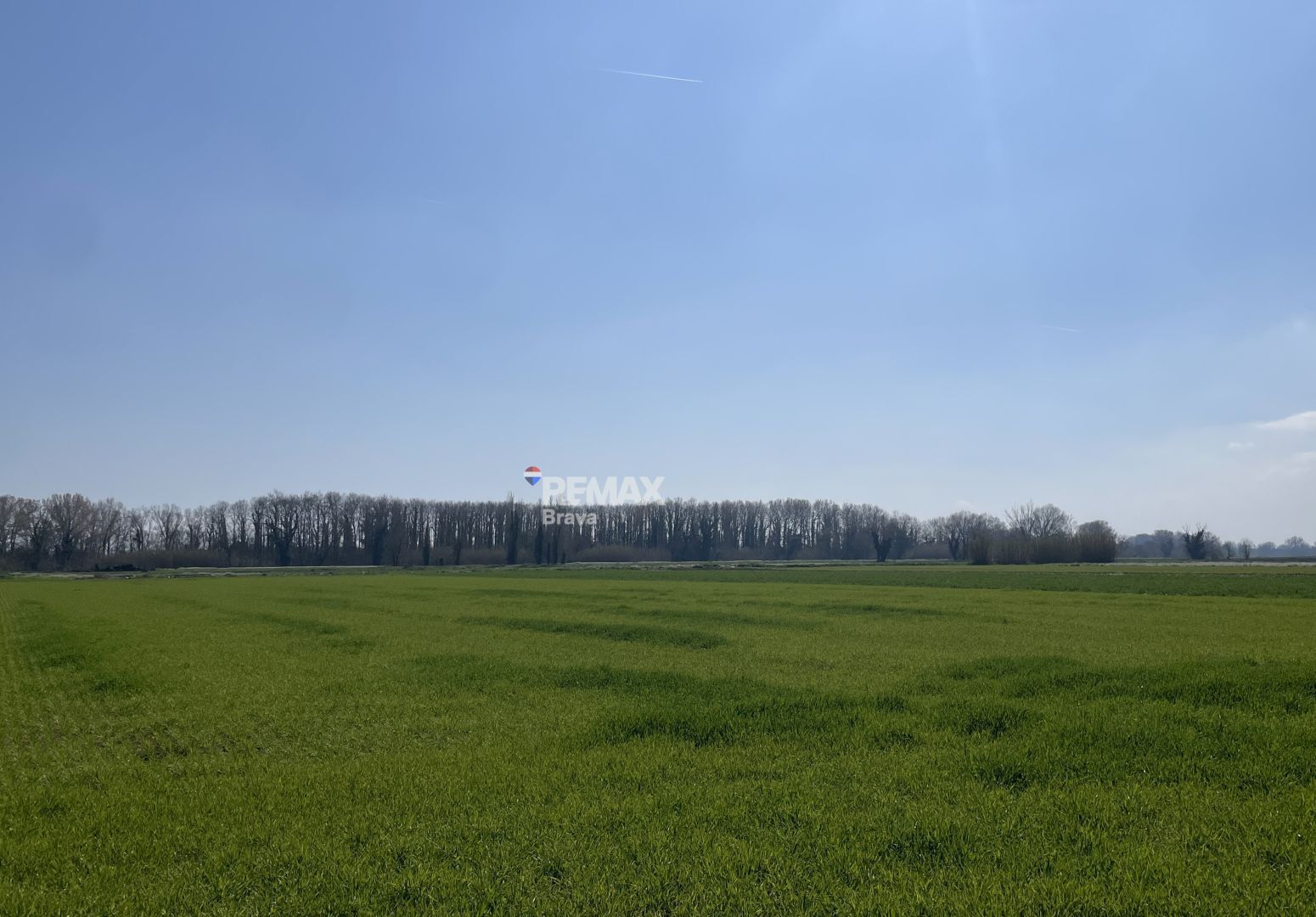 Fincas y solares-Venta-CastellÃ³ d