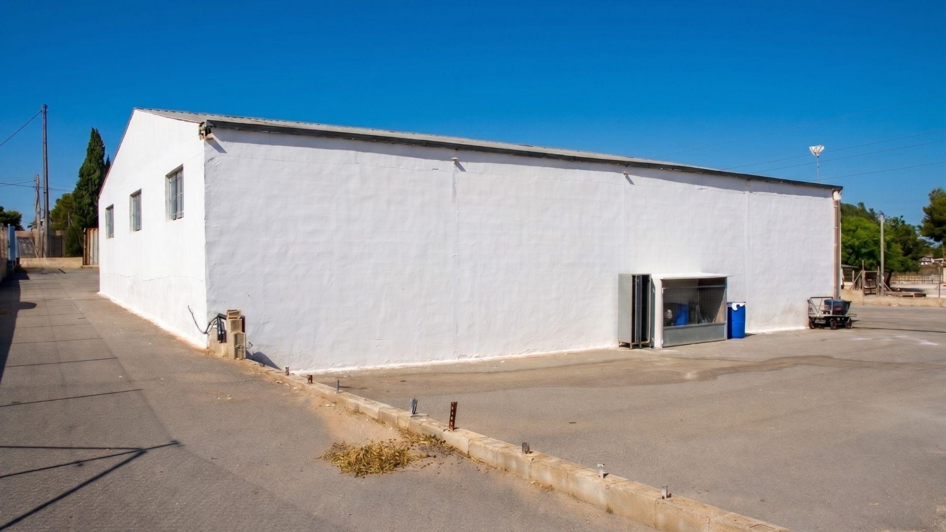 Naves-Venta-Elche-2411343-Foto-2