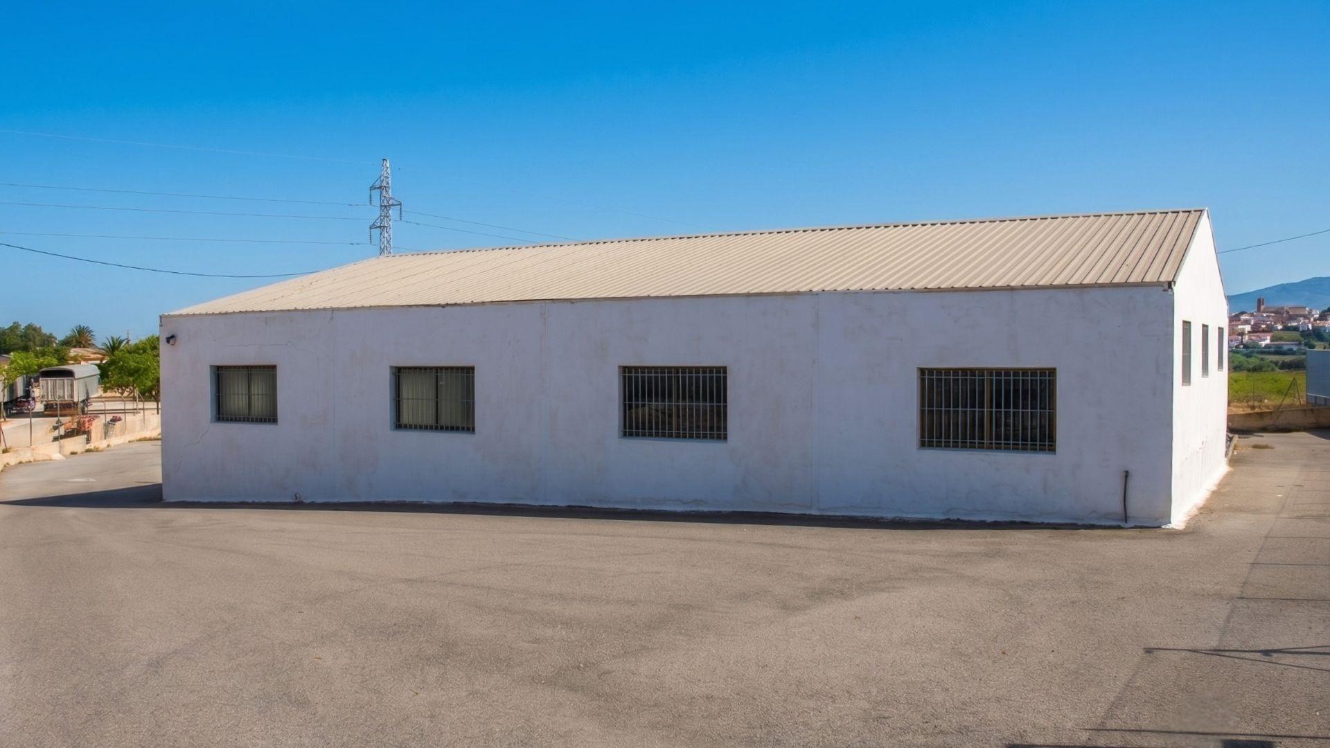 Naves-Venta-Elche-2411343-Foto-3
