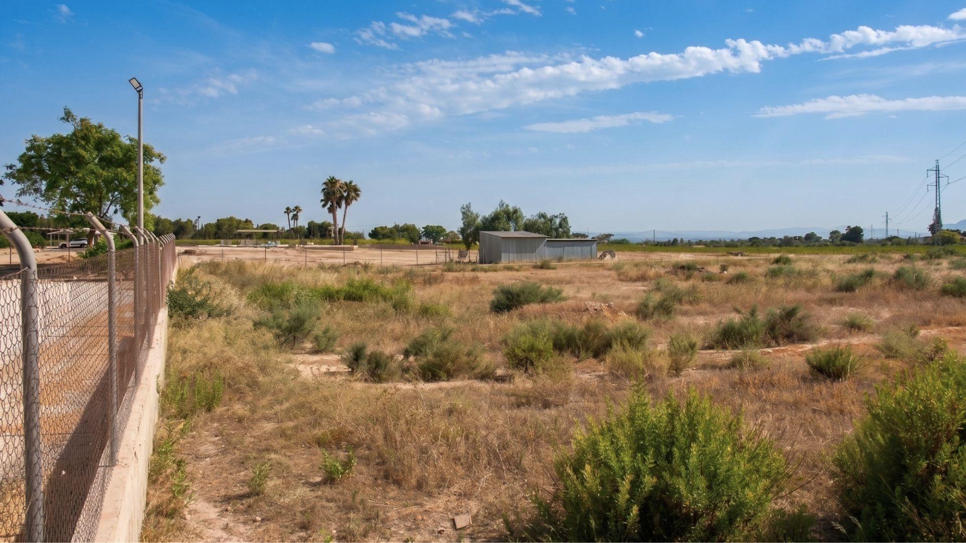 Naves-Venta-Elche-2411343-Foto-14
