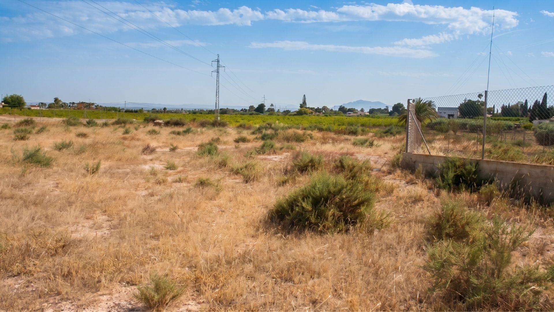 Naves-Venta-Elche-2411343-Foto-15