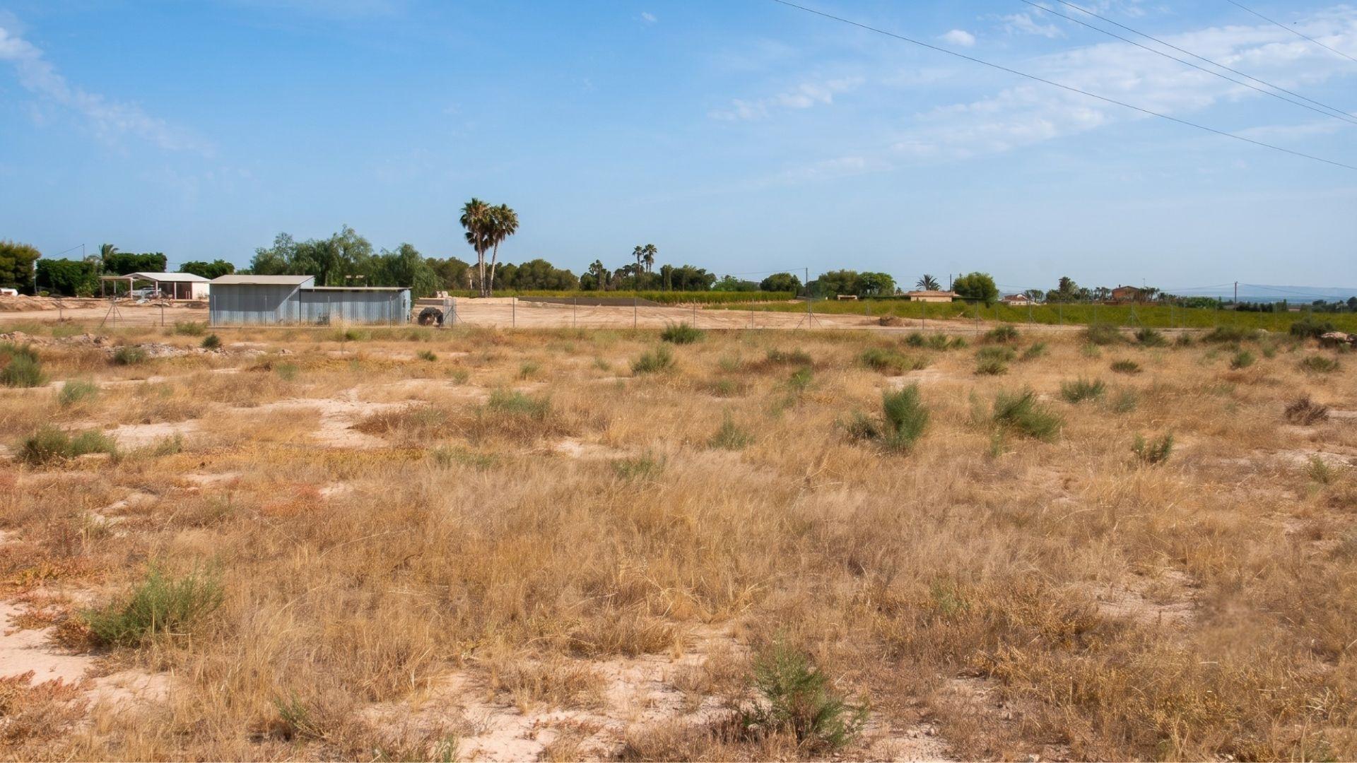 Naves-Venta-Elche-2411343-Foto-16