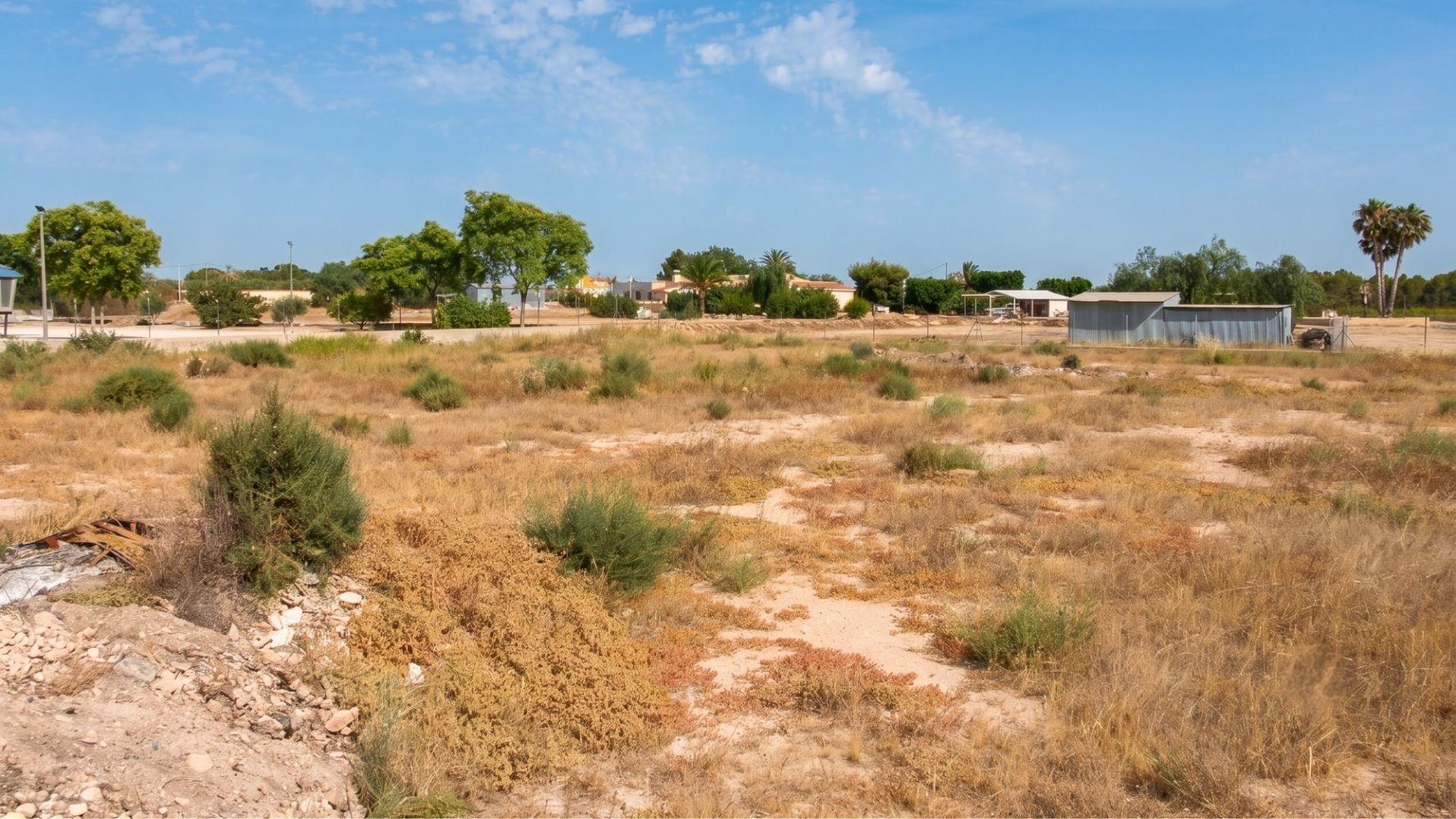 Naves-Venta-Elche-2411343-Foto-17