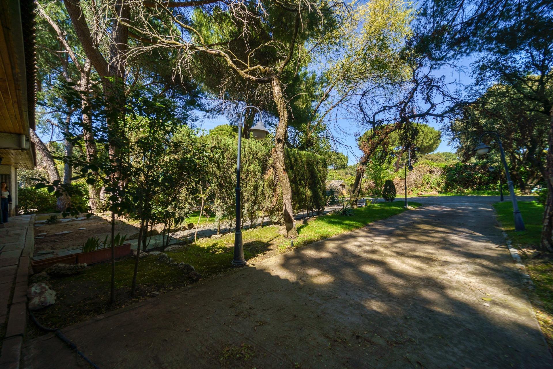 Casas o chalets-Venta-Pozuelo de AlarcÃ³n-2238614-Foto-50